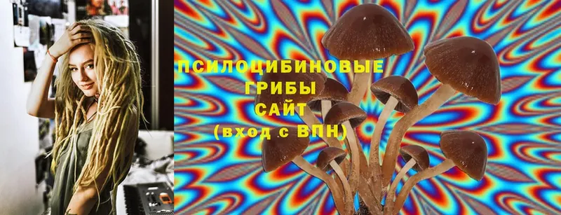 Галлюциногенные грибы Psilocybine cubensis  Агидель 